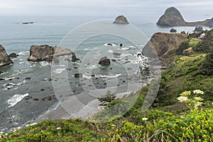 The coast along Brookings, Oregon photo