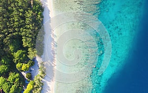 Coast as a background from top view. Turquoise water background from top view. Summer seascape from air. Gili Meno island, Indones