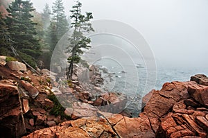 Coast of the Atlantic Ocean in the fog.