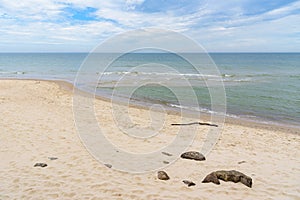 Coast of Baltic sea as summer background