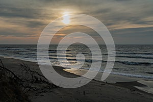 Coast of Baltic sea in an evening