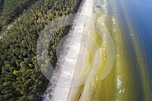 Coast of Baltic sea, Latvia.