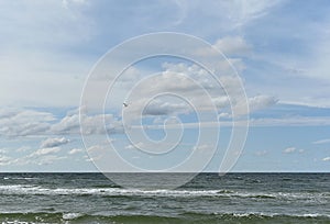 coast of the Baltic Sea. Wild sandy coast and cold sea