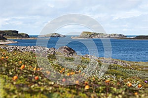 Coast of the Barents Sea