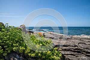 Coast Basque Country, cliffs and beaches of Guethary