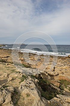 The coast in the bassa cove of San Antonio, Ibiza