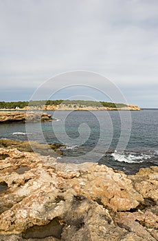 The coast in the bassa cove of San Antonio, Ibiza