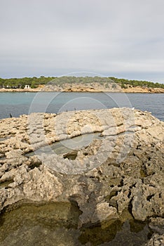 The coast in the bassa cove of San Antonio, Ibiza