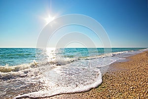 Coast of beach at day.