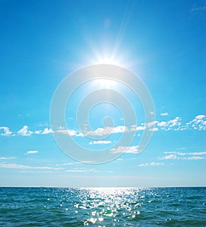 Coast of beach at day