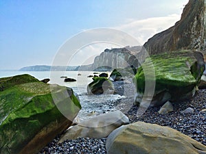 Coast and beach with pebbles