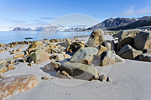 Coast beach in Spitsbergen, Arctic