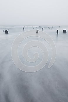 Coast Beach Waves and Stumps