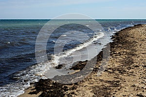 Coast of the Black Sea. Evpatoria. Crimea.