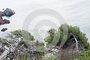 Coast Brave (Costa Brava) - Girona (Spain)