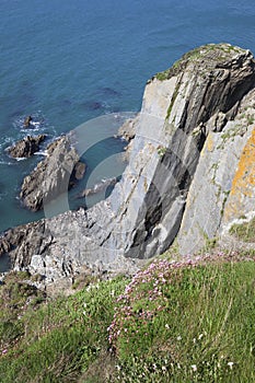 Coast at Burgh Island, Devon