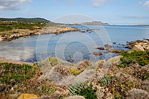 The coast of Cala Vacca photo