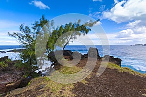 Coast close to Four A Chaux place, Reunion Island