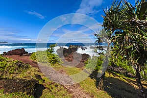 Coast close to Four A Chaux place, Reunion Island photo