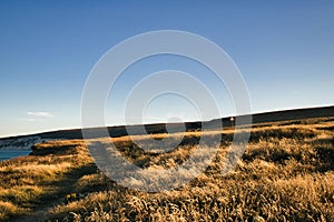 Coast of Compton Bay, Isle of Wight