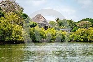 coast of the Congo river with green trees and houses with traditional African thatched roofs. dwelling in the African