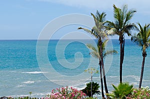 Coast of Costa Adeje.Tenerife island, Canaries, Spain