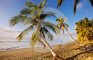Coast in Costa Rica