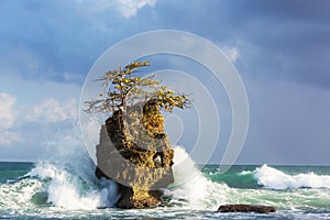 Coast in Costa Rica