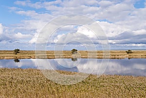 Coast of Darss, Germany