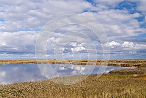 Coast of Darss, Germany