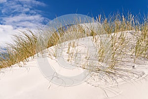 Coast of Darss, Germany