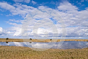 Coast of Darss, Germany