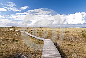 Coast of Darss, Germany