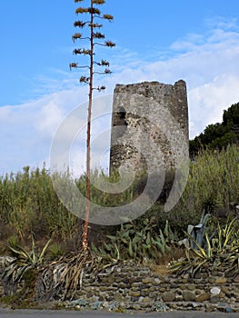 Coast of Estepona-Andalusia