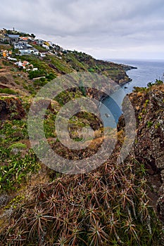 Coast on the flower island of Madeira