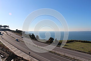 Coast forest and road