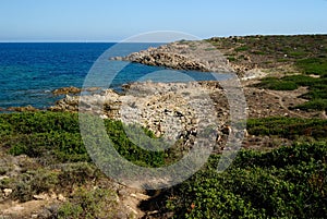 The coast of Golfo Aranci