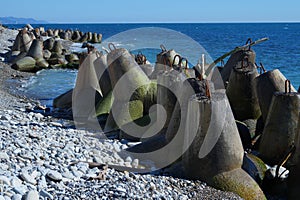 The coast of Greater Sochi, a walk, sketches.