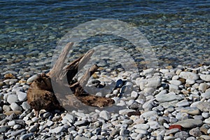 The coast of Greater Sochi, a walk, sketches.