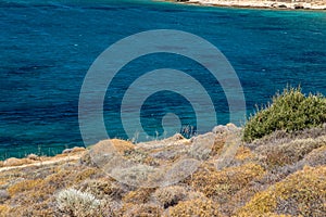 Coast of a greek island