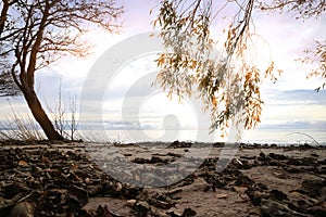 The coast of the Gulf of Finland in the evening at sunset landscape as a background