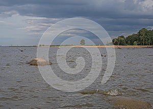 The coast of the Gulf of Finland, Peterhof, St. Petersburg. Summer day, contrasting lighting, pre-storm blue thick textured sky.