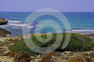 The coast of the Habonim reserve