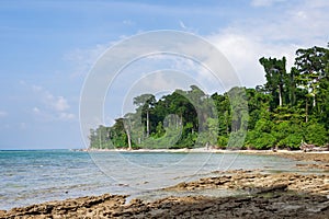 Coast at Havelock island.