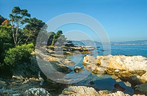 Coast of the Ile Saint Honorat