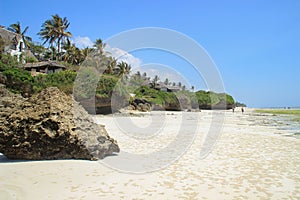 Coast of the Indian Ocean, low tide. White sand and palm trees, the beach near Mombasa, Kenya