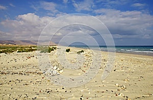 The coast of Indian ocean, Socotra island, Yemen