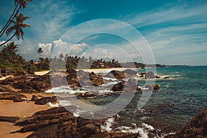 Coast Of Indian Ocean with stones and coconut palm trees. Tropical vacation, holiday background. Wild deserted beach. Paradise idy