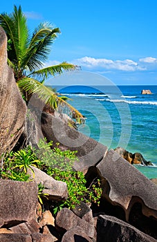 Coast of Island La Digue, Source d\'Argent Beach, Republic of Seychelles, Africa