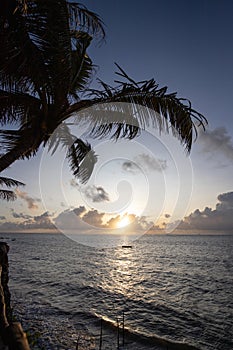 coast kenya mombasa, sunrise at sea. Indian ocean at sunrise, palm trees and a view to the horizon. Beautiful morning at the beach